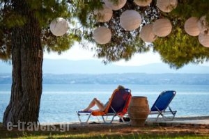 Negroponte Resort Eretria_lowest prices_in_Hotel_Central Greece_Evia_Eretria