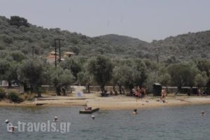 Gera's Olive Grove - Elaionas tis Geras_best deals_Hotel_Aegean Islands_Lesvos_Mytilene