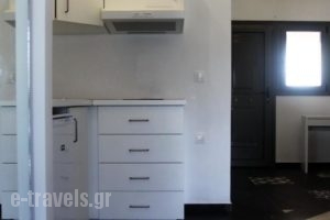 Maria Apartments_best prices_in_Apartment_Ionian Islands_Zakinthos_Laganas