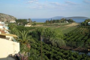 Christina Apartments_accommodation_in_Apartment_Peloponesse_Argolida_Nafplio