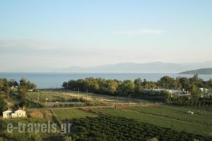 Christina Apartments_best prices_in_Apartment_Peloponesse_Argolida_Nafplio