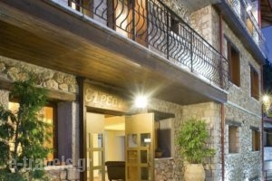 Xenonas Iresioni_holidays_in_Hotel_Central Greece_Viotia_Arachova