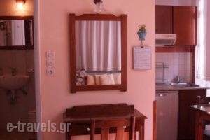 Silde Studios & Apartments_best prices_in_Apartment_Crete_Chania_Chania City