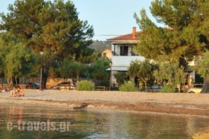 Zouzoula House_accommodation_in_Hotel_Thessaly_Magnesia_Agios Lavrendios