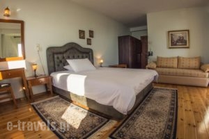 Horizon Hotel_travel_packages_in_Epirus_Ioannina_Ioannina City