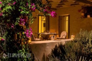 Stagones Luxury Villas_best prices_in_Villa_Cyclades Islands_Paros_Paros Chora