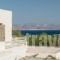 Stagones Luxury Villas_holidays_in_Villa_Cyclades Islands_Paros_Paros Chora