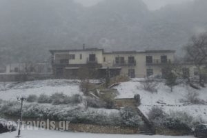 Hotel Pyli_holidays_in_Hotel_Thessaly_Karditsa_Oxia