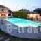 Sun Accommodation_accommodation_in_Hotel_Sporades Islands_Skopelos_Skopelos Chora