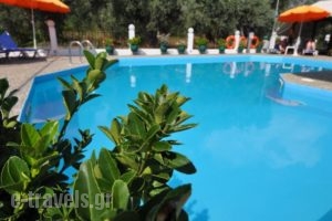Hotel Sylvia_best prices_in_Hotel_Aegean Islands_Thasos_Thasos Chora
