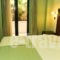 Villa Orion Hotel_best prices_in_Villa_Central Greece_Attica_Voula