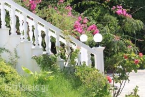 Villa Irini-Irene's House_best prices_in_Villa_Crete_Chania_Almyrida