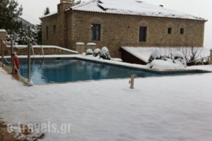 Guesthouse & Studios Kiriaki_best prices_in_Hotel_Central Greece_Fokida_Amfissa