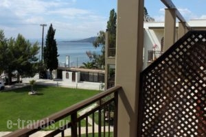 Hotel Areti_lowest prices_in_Hotel_Macedonia_Halkidiki_Neos Marmaras