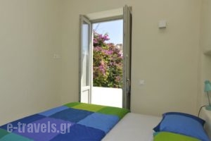 Blue Jasmin_lowest prices_in_Hotel_Cyclades Islands_Paros_Naousa