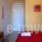 Vasilis Studios_best deals_Hotel_Peloponesse_Argolida_Argos