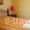 Vasilis Studios_best prices_in_Hotel_Peloponesse_Argolida_Argos