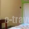 Vasilis Studios_lowest prices_in_Hotel_Peloponesse_Argolida_Argos