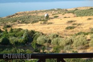 Kapsali Private Houses I & II_lowest prices_in_Hotel_Crete_Heraklion_Viannos