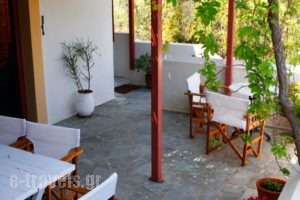 Hotel Manto_lowest prices_in_Hotel_Cyclades Islands_Paros_Naousa