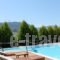 Alkistis Hotel_best prices_in_Hotel_Peloponesse_Achaia_Diakopto