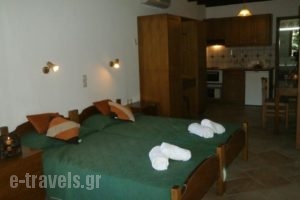 Eva Studios_accommodation_in_Hotel_Ionian Islands_Corfu_Corfu Rest Areas