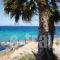 The Beachhouse_lowest prices_in_Hotel_Piraeus Islands - Trizonia_Methana_Methana Chora