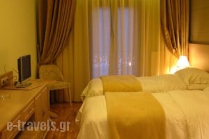Hotel Grand Chalet_best deals_Hotel_Macedonia_Drama_Kato Nevrokopi