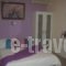 Maistrali Studios_best prices_in_Hotel_Central Greece_Evia_Artemisio