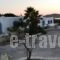 Wind Villas_holidays_in_Villa_Cyclades Islands_Paros_Paros Chora