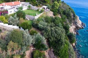 Villa Bienvenue_accommodation_in_Villa_Thessaly_Magnesia_Pinakates