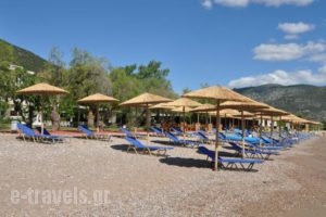 Apollon Hotel_travel_packages_in_Peloponesse_Argolida_Archea (Palea) Epidavros