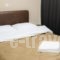 Pella Inn Hostel_best prices_in_Hotel_Central Greece_Attica_Athens
