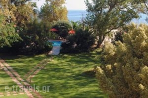 Marita'S Apartments_best prices_in_Apartment_Crete_Chania_Agia Marina