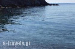 Elena'S Beach Garden_s __1