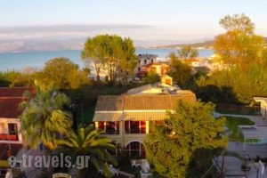 Eleni Apartments_holidays_in_Apartment_Ionian Islands_Corfu_Roda