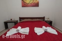 Elpidis Villa_s __2