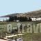 Stork Apartments_accommodation_in_Apartment_Peloponesse_Arcadia_Astros