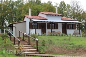 Kedros_accommodation_in_Hotel_Macedonia_Halkidiki_Arnea