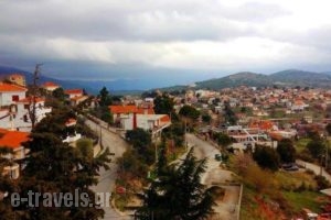 Verori Hotel Vilia Attica_lowest prices_in_Hotel_Central Greece_Attica_Kineta