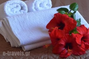 Elli Rooms_holidays_in_Room_Sporades Islands_Alonnisos_Patitiri