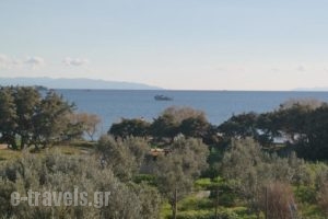 Mina'S Studios In Naxos Island_holidays_in_Hotel_Cyclades Islands_Naxos_Agia Anna