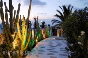 Geranium Gay Residence_holidays_in_Hotel_Cyclades Islands_Mykonos_Mykonos Chora
