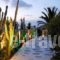 Geranium Gay Residence_holidays_in_Hotel_Cyclades Islands_Mykonos_Mykonos Chora