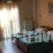 Tsironis Rooms_best prices_in_Room_Epirus_Ioannina_Zitsa