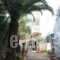 Ballos Apartments_lowest prices_in_Apartment_Piraeus Islands - Trizonia_Aigina_Marathonas
