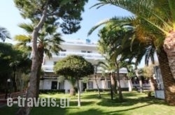 Ballos Apartments in Marathonas, Aigina, Piraeus Islands - Trizonia