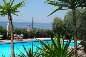 Asteris Village_best prices_in_Hotel_Macedonia_Halkidiki_Poligyros