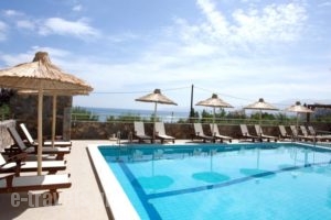Dias Luxury Studios & Apartments_holidays_in_Apartment_Crete_Heraklion_Malia