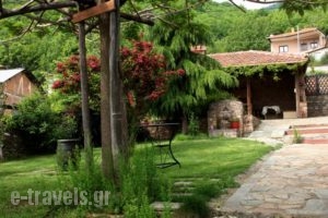 Archontiko Athina_holidays_in_Hotel_Macedonia_Kozani_Siatista